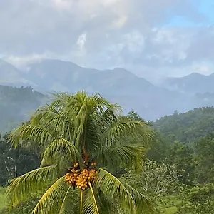  Hébergement de vacances La Vallee De Diane Guadeloupe
